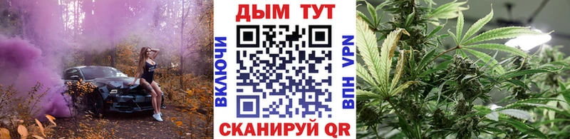 Шишки марихуана Amnesia  MEGA ссылка  Лодейное Поле 